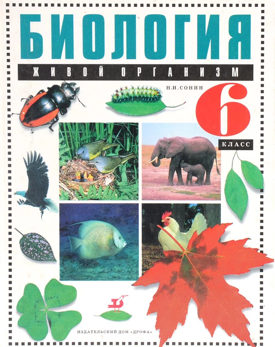 «биология. биология тетрадка 6 класс. биология 6 класс учебник сонин. рабочая тетрадь по биологии 6 сонин. биология 6 класс сонин живой организм.