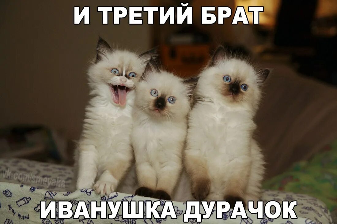 Обязательно а то