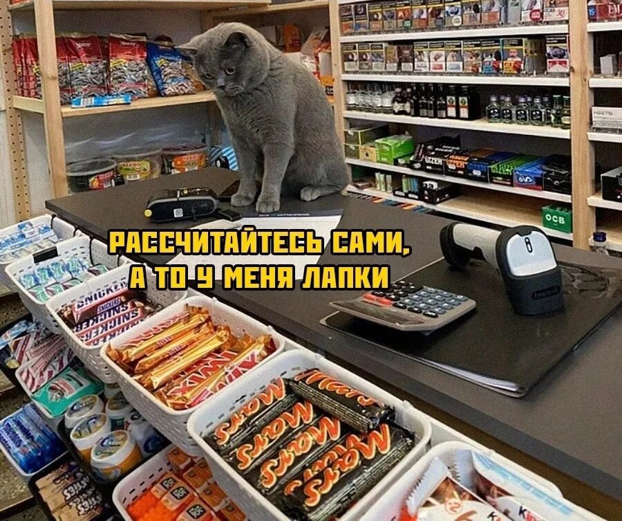 Ты что умеешь считать