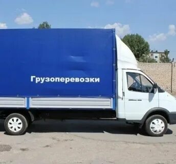 Газель межгород