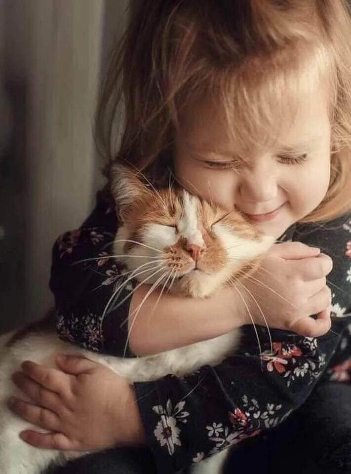 Кот не любит детей. Маленькая девочка обнимает кота. Котик для детей. Кот обнимает. Дети и коты.