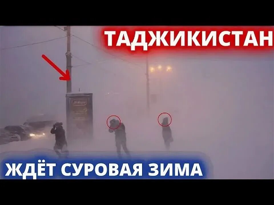 Что ждет таджиков в россии. Жду таджика. Суровый таджикский Амур.