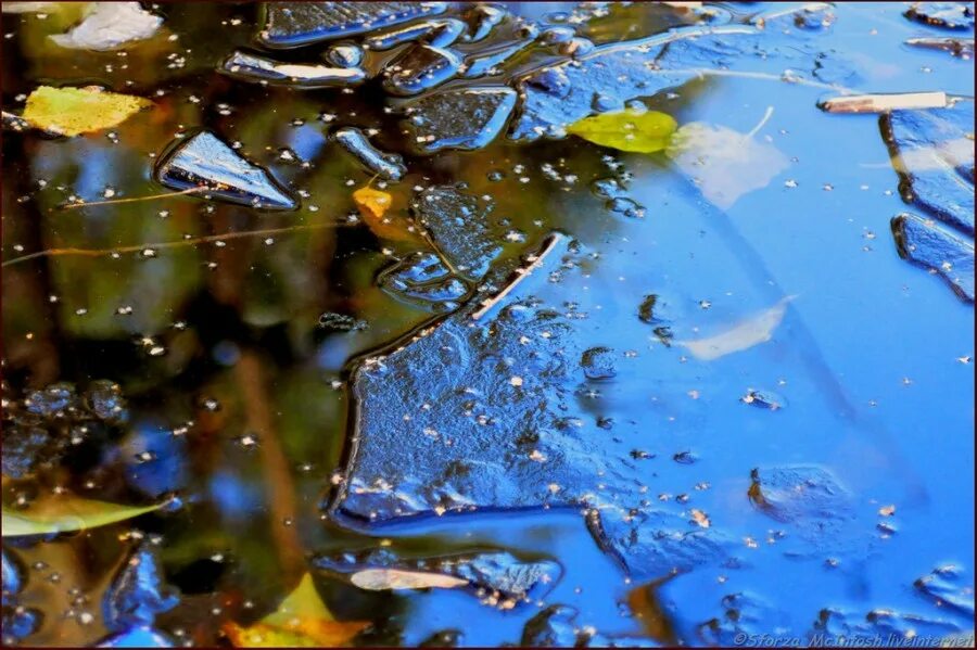 Лед на лужах. Заморозки лужа. Лужице 1. Живописные лужи. Замерзшая лужа.