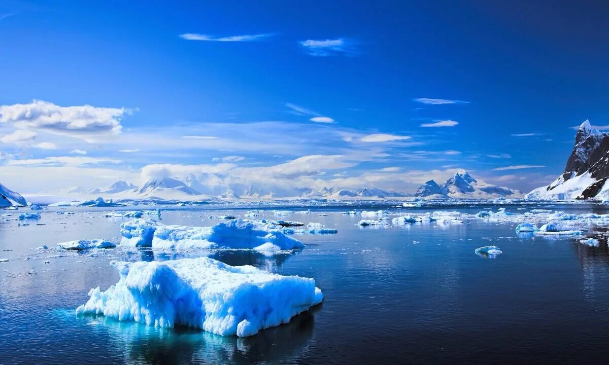 Южный океан природа. Южный Ледовитый океан. Море Уэдделла моря Южного океана. Океаны Антарктиды. Южный антарктический океан.