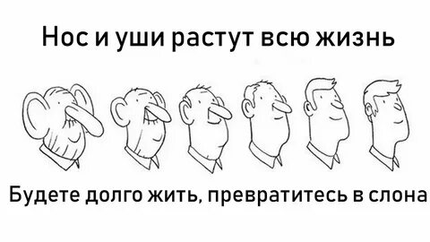 Растут ли уши всю жизнь