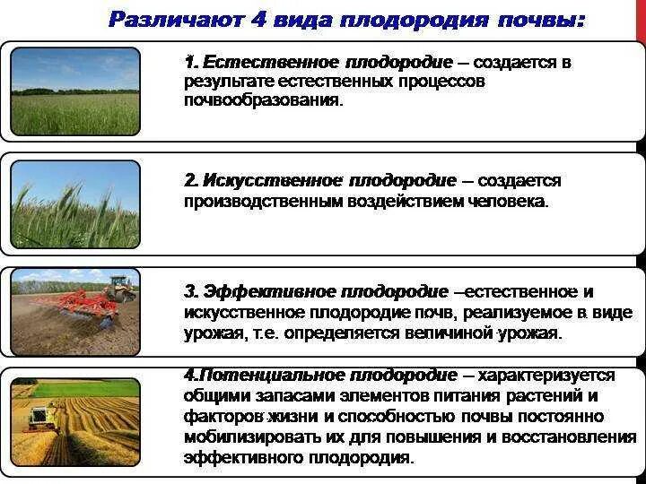 Эффективное плодородие почвы. Виды почвенного плодородия. способы повышения плодородия почвы. уровень плодородия почвы. факторы повышения плодородия почв.