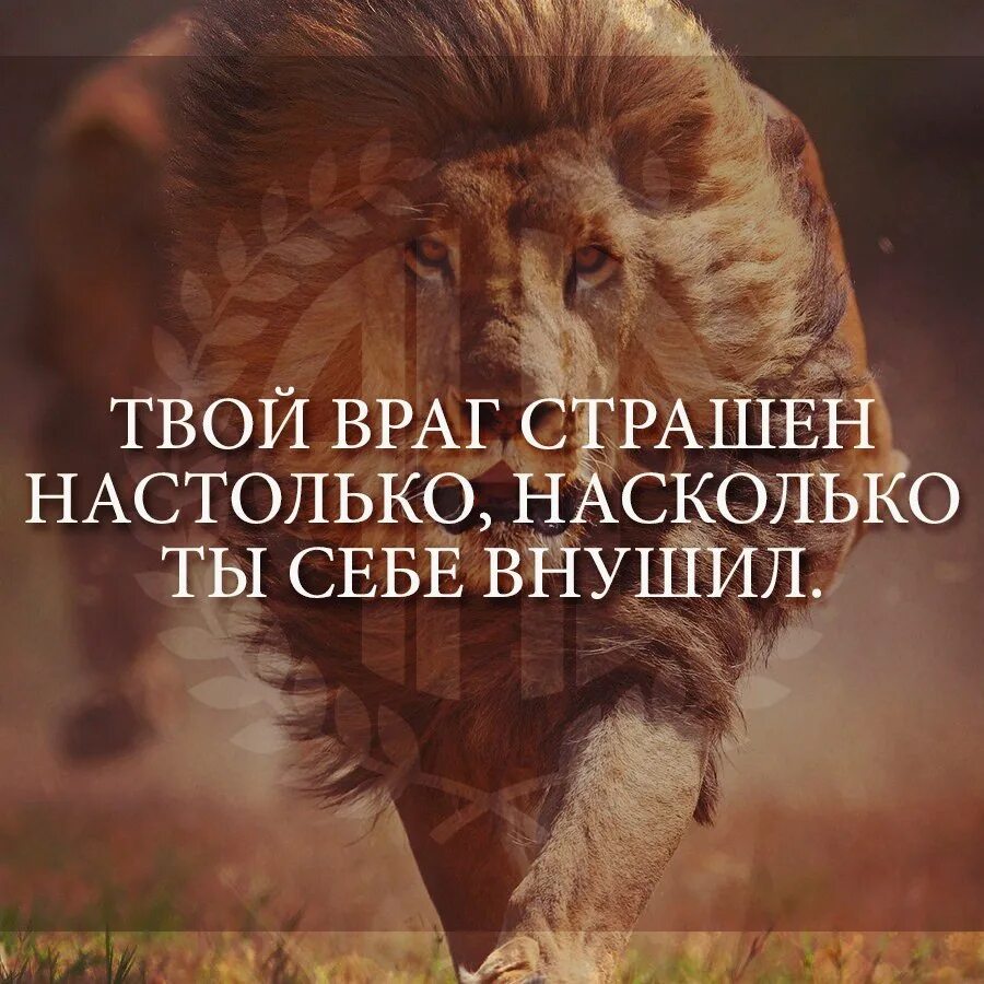 Я не была твоим врагом читать полностью. Твой враг. Самый страшный враг сомнение. Самый страшный враг. Враг настолько страшен.