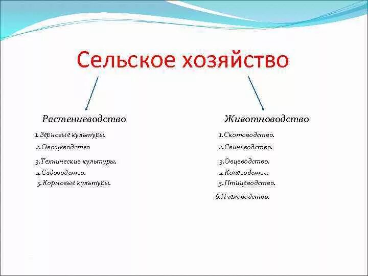 Сельское хозяйство схема Растениеводство животноводство. Схема отрасли растениеводства. Структура сельского хозяйства Растениеводство и животноводство. Какие бывают отрасли растениеводства. Схема связи растениеводства и животноводства и промышленности