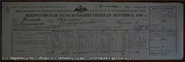 Перепись жильцов. Перепись 1917 года алтайский край. подворные карточки сельскохозяйственной переписи 1917 года. сельскохозяйственная перепись населения 1916 1917 года. карточка сельскохозяйственной переписи 1917 года.