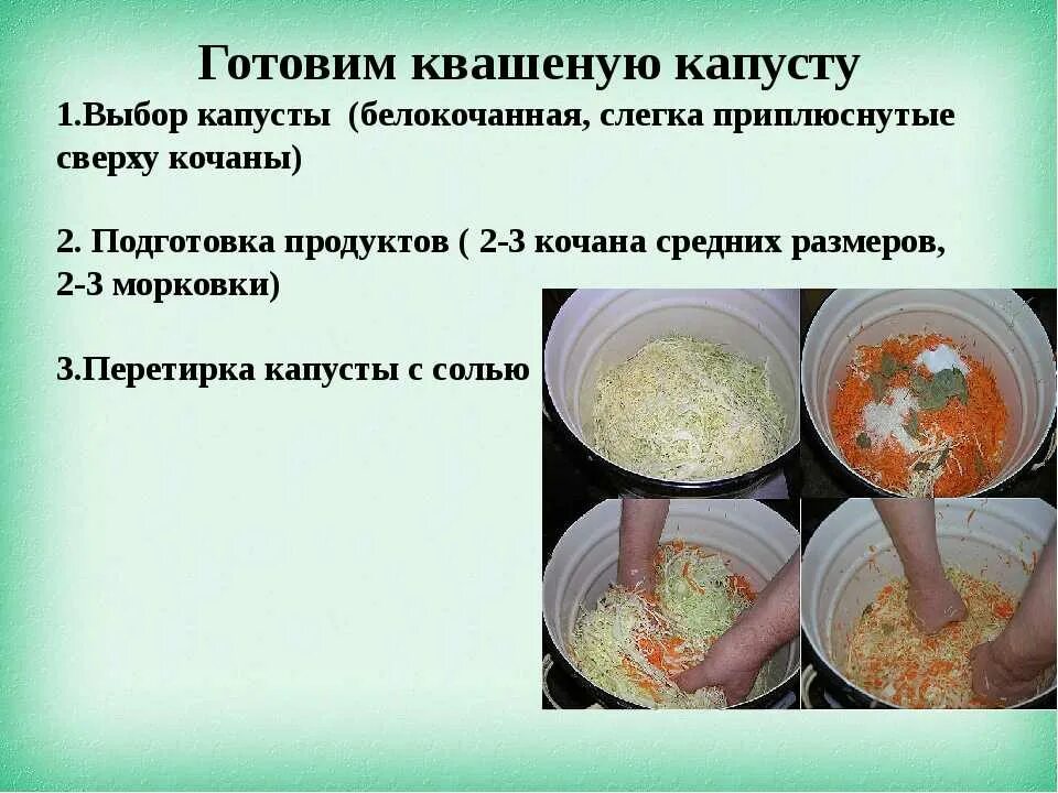 Что выделяется при квашении капусты. Полезные свойства квашеной капусты для организма. полезные качества квашеной капусты. чем полезна квашенная к. чем полезна квашеная капуста.