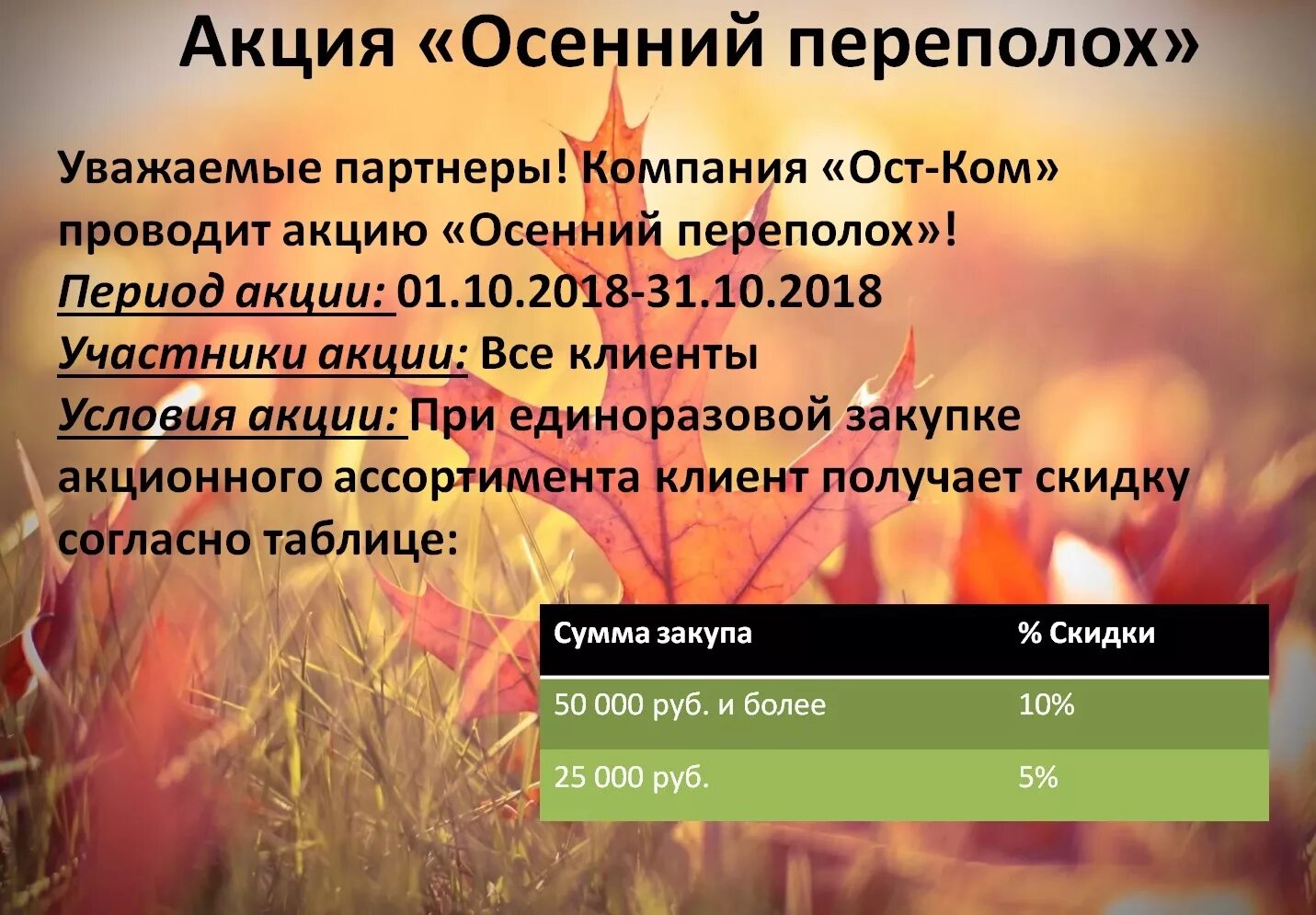 Осенняя акция. Осенние коллекции акция. Осенние акции в парикмахерских. Осенние акции слоганы. Приложение магазина осень.