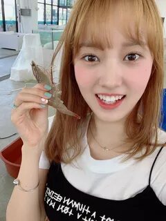 Media 2421790 by Weki Meki 