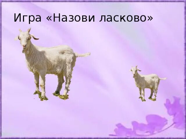 Назови ласково домашних