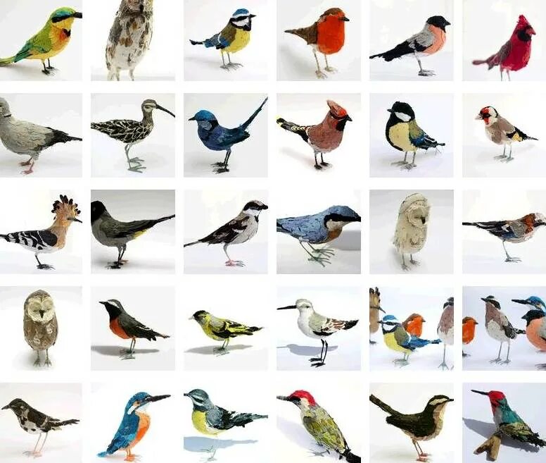 Kind birds. Kinds of Birds. Different kinds of Birds. Birds in Russia and their names. Variety of Birds with their names.