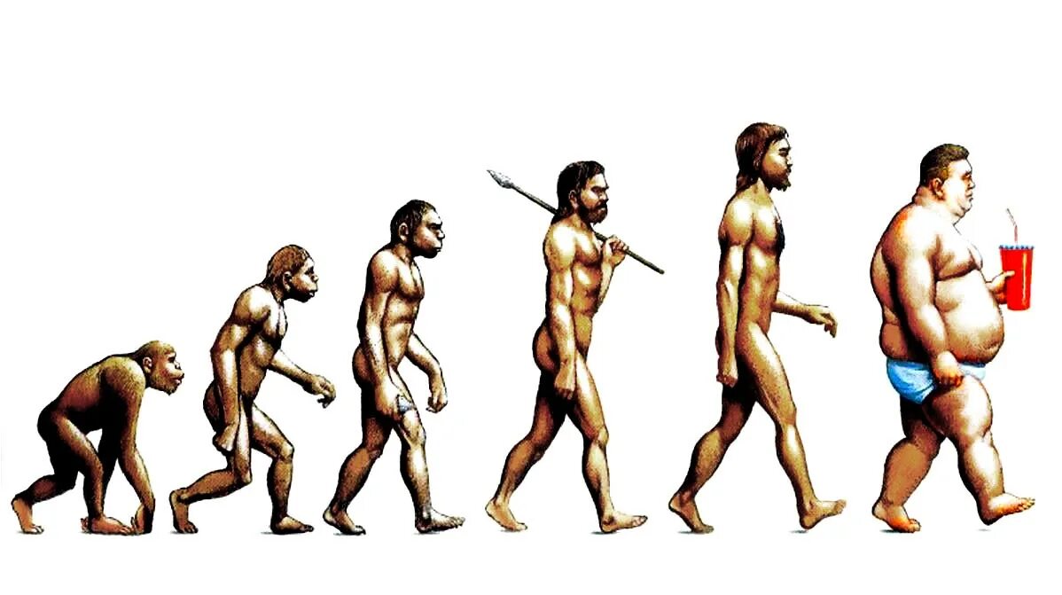 Эволюционирует ли человек. От обезьяны к человеку. Современный человек. Эволюция человека до современного. Следующая ступень эволюции человека.
