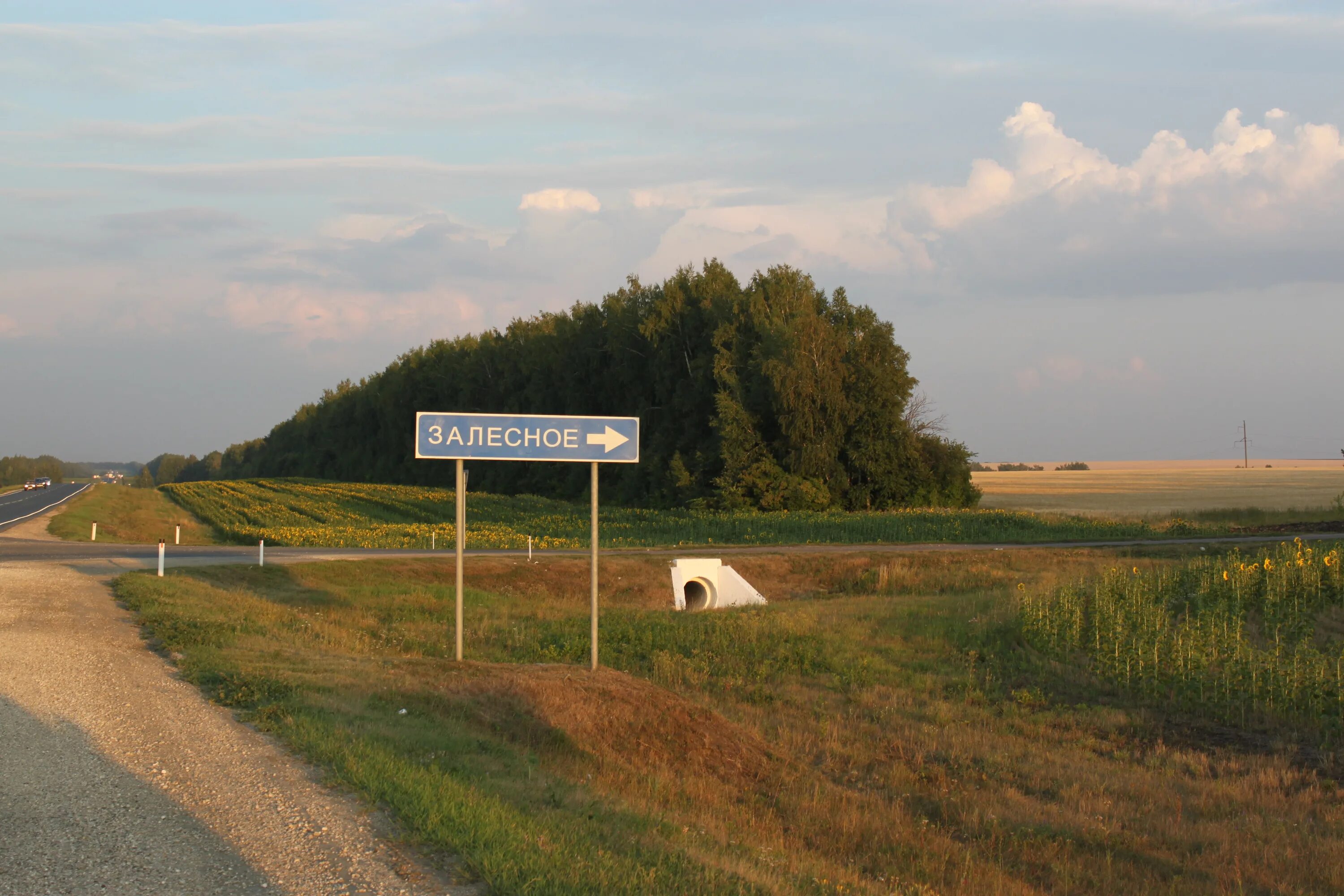 Каменский пенза. Село Залесное Каменского района Пензенской области. Знаменка Пензенская область Каменский район. С. кучки, Каменский район, Пензенская область. Пензенский район село поперечное.