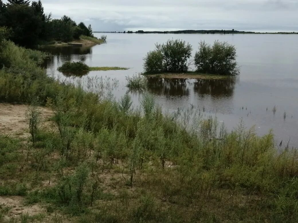 Село большая сазанка амурская область. Река бысса амурская область. Село большая сазанка амурская область. Малая сазанка. Малая сазанка пляж.