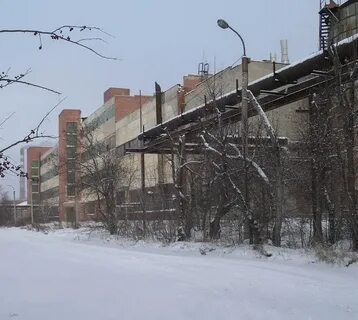 Бердск 11