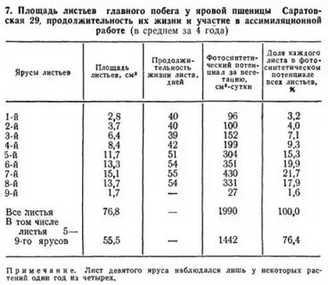 При какой температуре растет пшеница