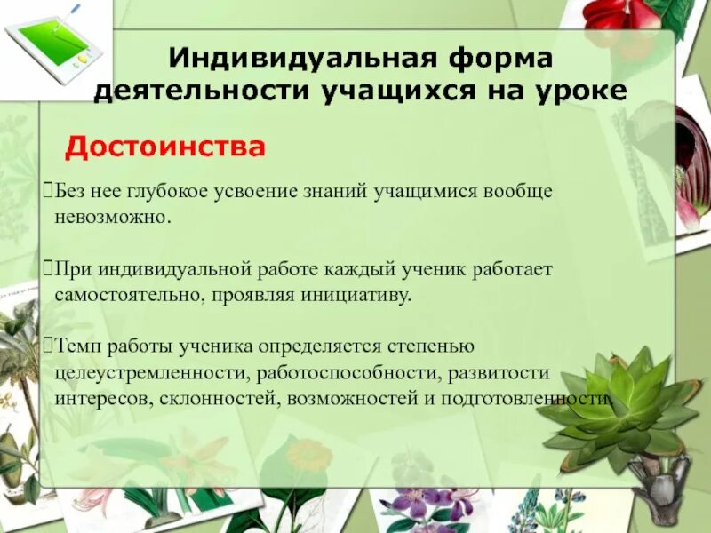 Достоинства индивидуального обучения
