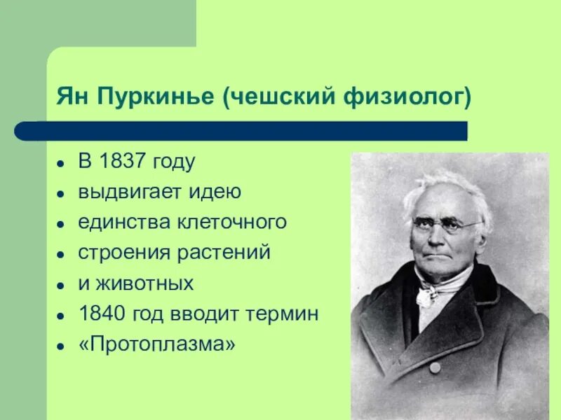 Вклад пуркинье в клеточную теорию. Вклад пуркинье в клеточную теорию. Вклад пуркинье в клеточную теорию. Анатом пуркинье. Ян пуркинье вклад в биологию кратко.