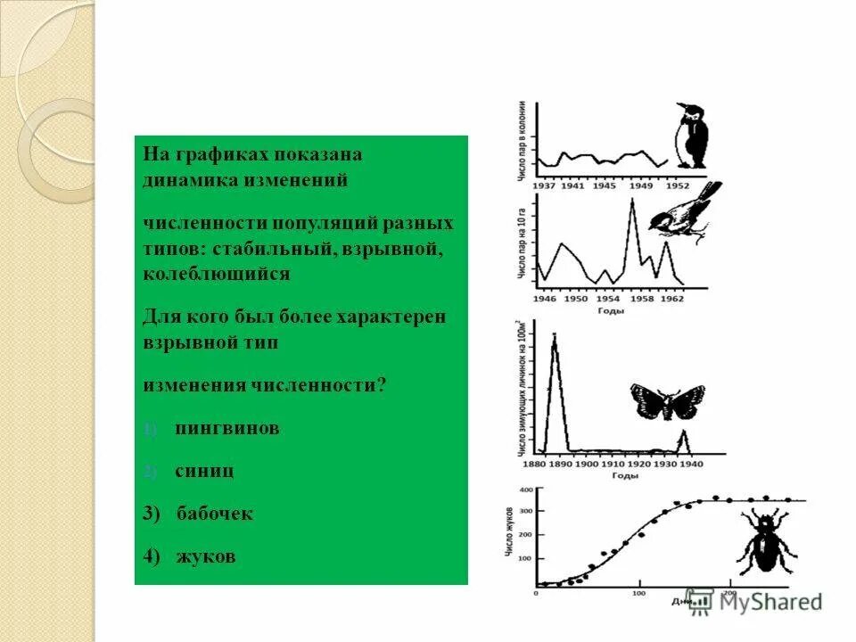 На графиках продемонстрированы изменения численности жертвы зайцев. Типы динамики численности популяции по Северцову. Типы популяционной динамики график. Взрывной Тип динамики популяции. Стабильный Тип динамики численности популяции.