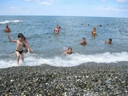 Купаются ли в адлере