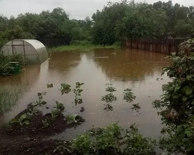 Затопило огород
