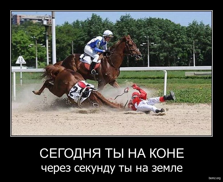 девушка с лошадью. после кон. после кон. пот лошади. лошадь на дыбах с человеком.