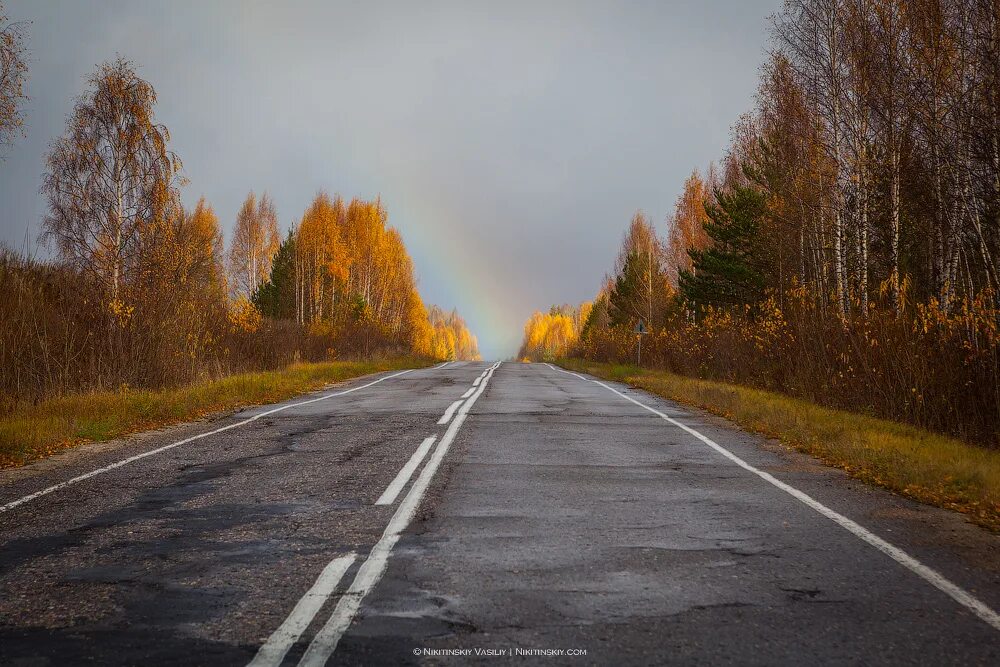 Круг по осенней дороге домой. Дорога в осень. Осенняя трасса. Дорога осень Россия. Осень дорога машина.