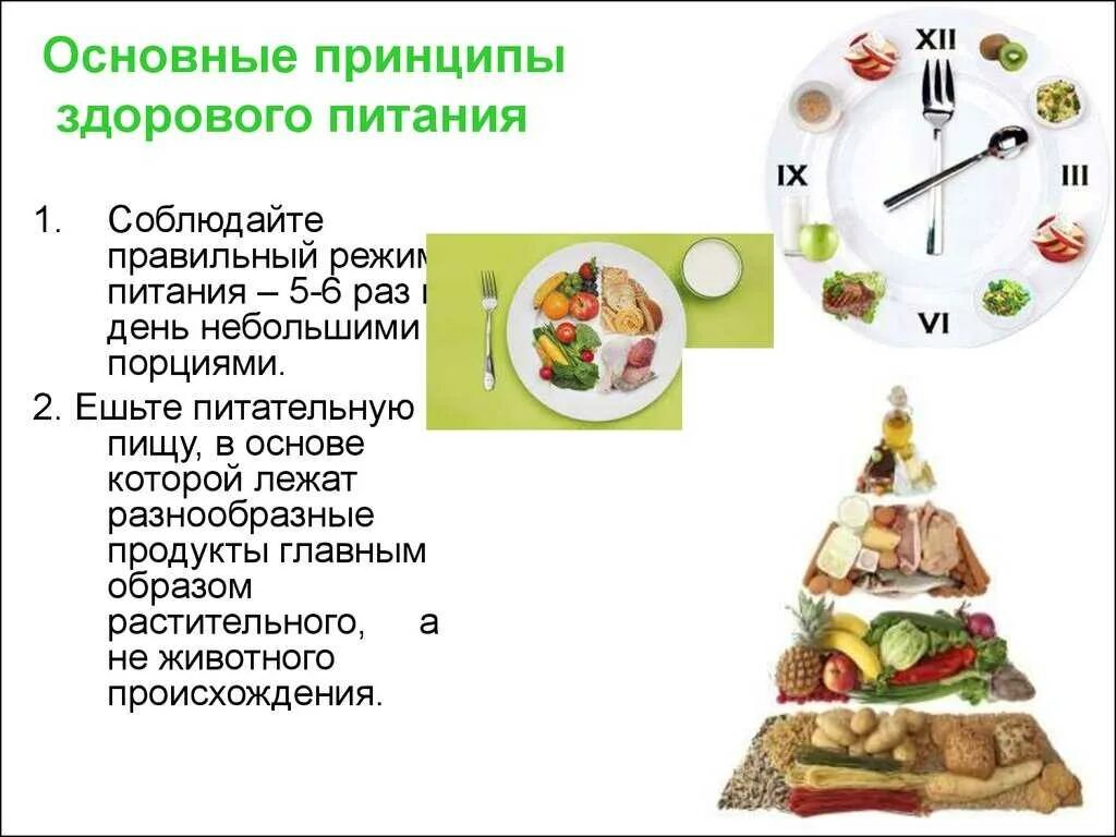 Основные принципы организации здорового питания. Режим рационального питания. Здоровое питание режим питания. Рациональное правильное питание на день.