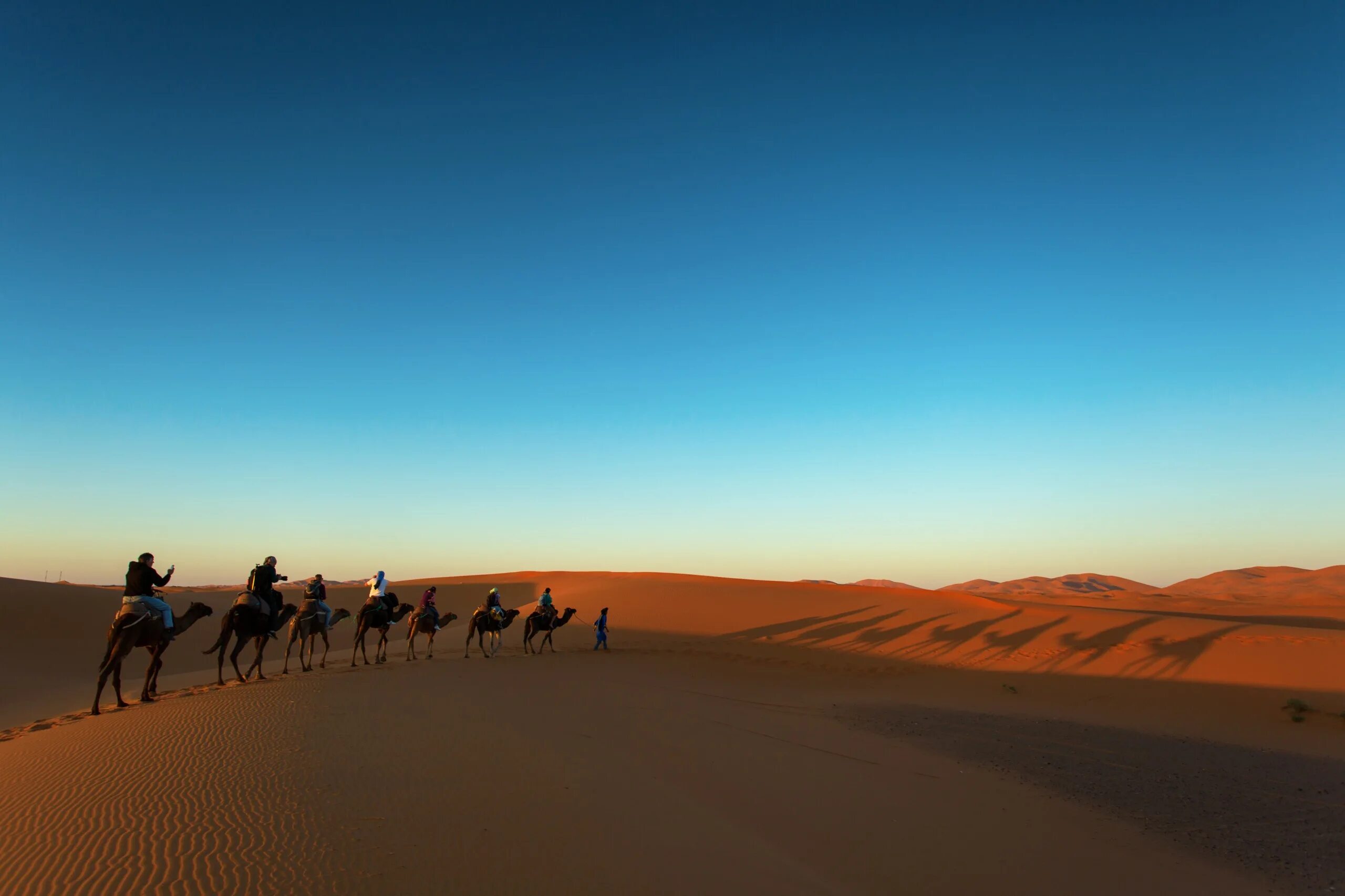 Пустыня побед. Верблюд Караван пустыни. Рассвет в пустыне Гоби. Караван Мекка пустыня. В пустыне Караван верблюдов в Египте.