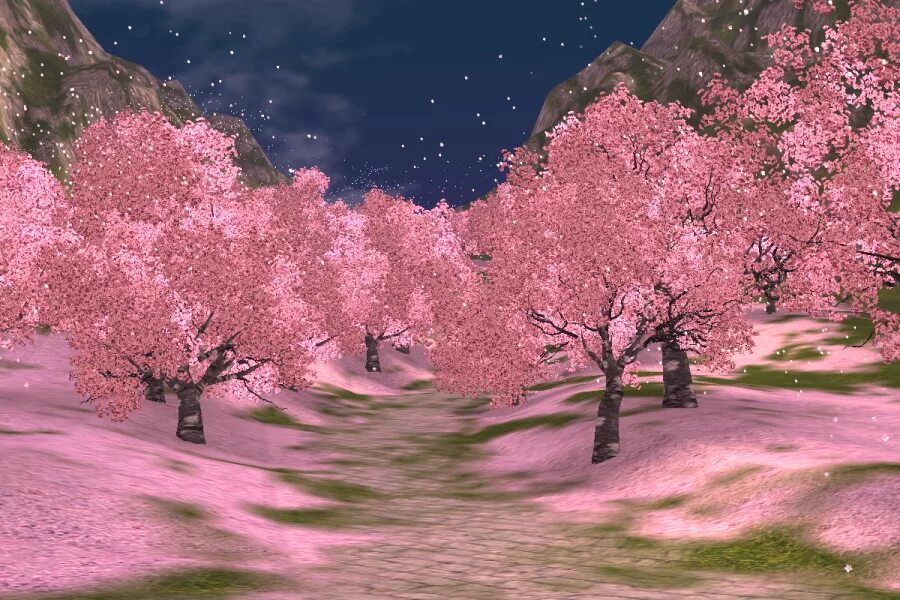 Сакура сидарезакура. Розовое дерево. Сакура фон. Сакура пейзаж. Blossom lite