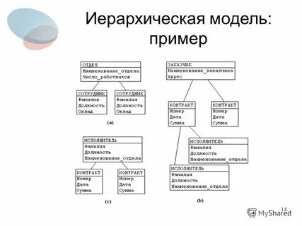 Общие данные это примеры