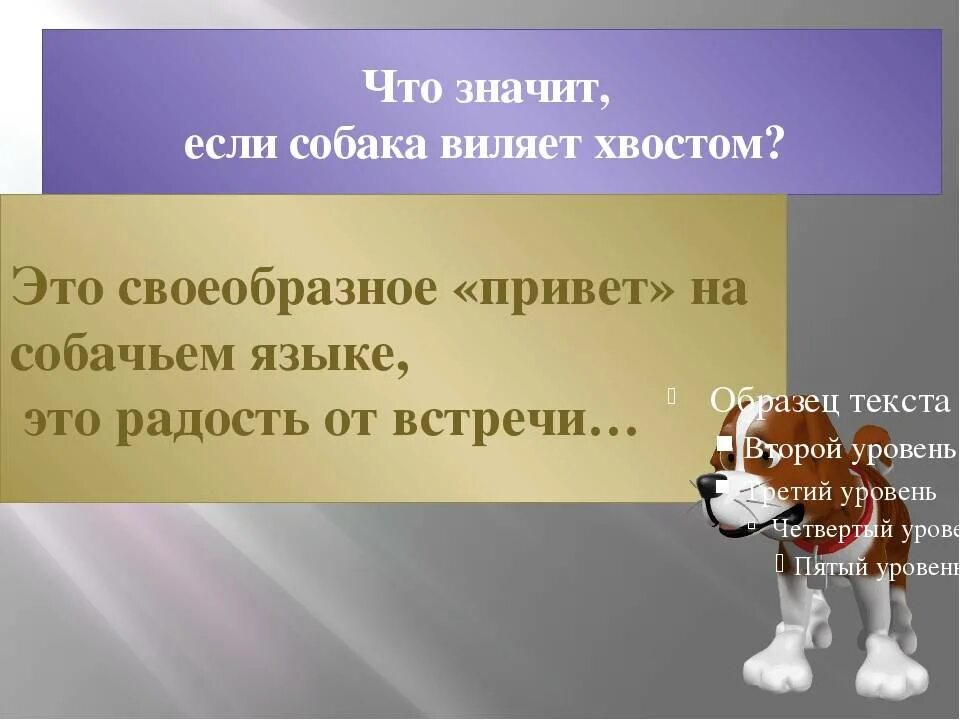 Собачий значение