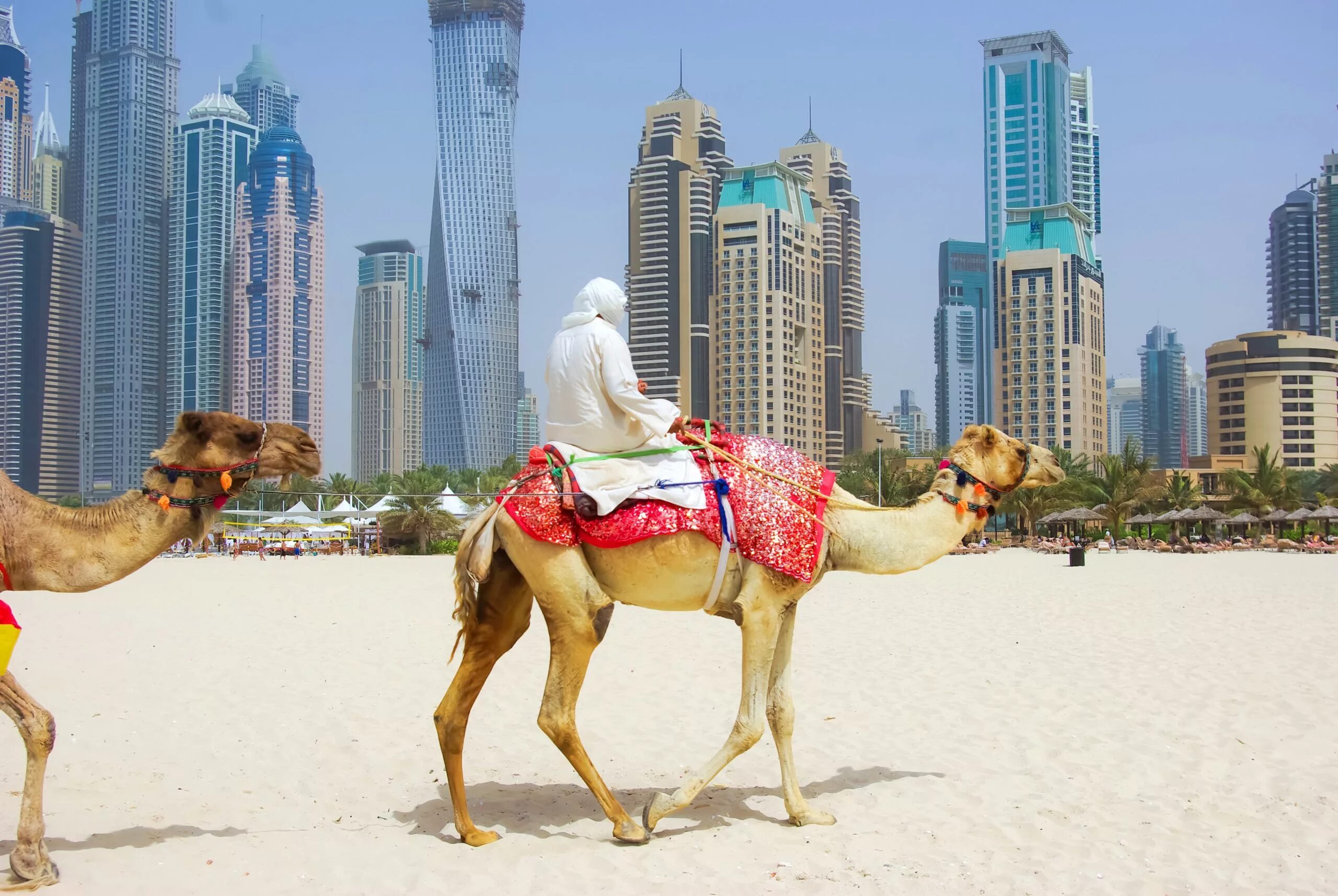 Арабские страны путешествия. Объединённые арабские эмираты. Арабские эмираты Дубай. Дубай - (ОАЭ) Объединенные арабские эмираты. ОАЭ Дубай верблюд.
