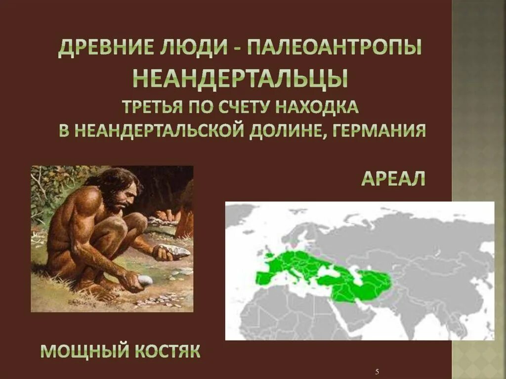 К древним людям относят неандертальца