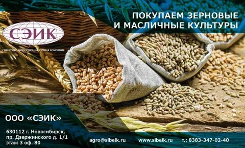 Зерно закуп