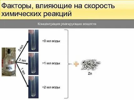 Вещество ускоряющее химическую реакцию в организме