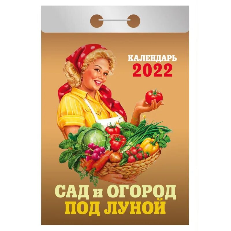 Календарь отрывной 2025. Отрывной календарь. отрывной календарь на 2025. календарь отрывной сад огород. сад и огород под луной календарь отрывной 2025.