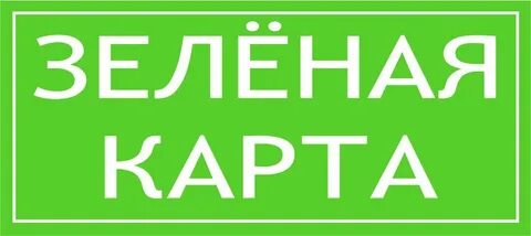 Зеленая карта спб