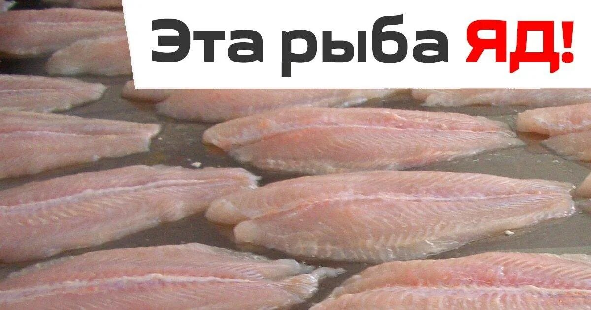 Пангасиус в панировочных сухарях - пошаговый рецепт с фото на Повар.ру