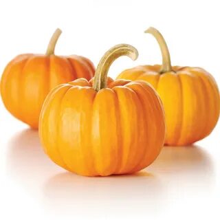 Тыква pumpkin