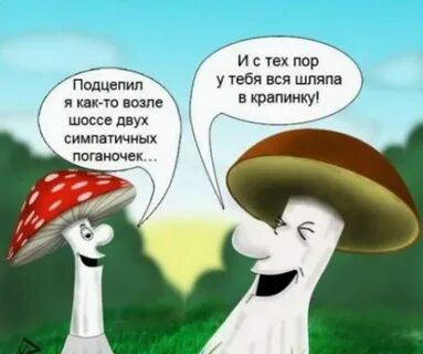 Грибы пошли прикол