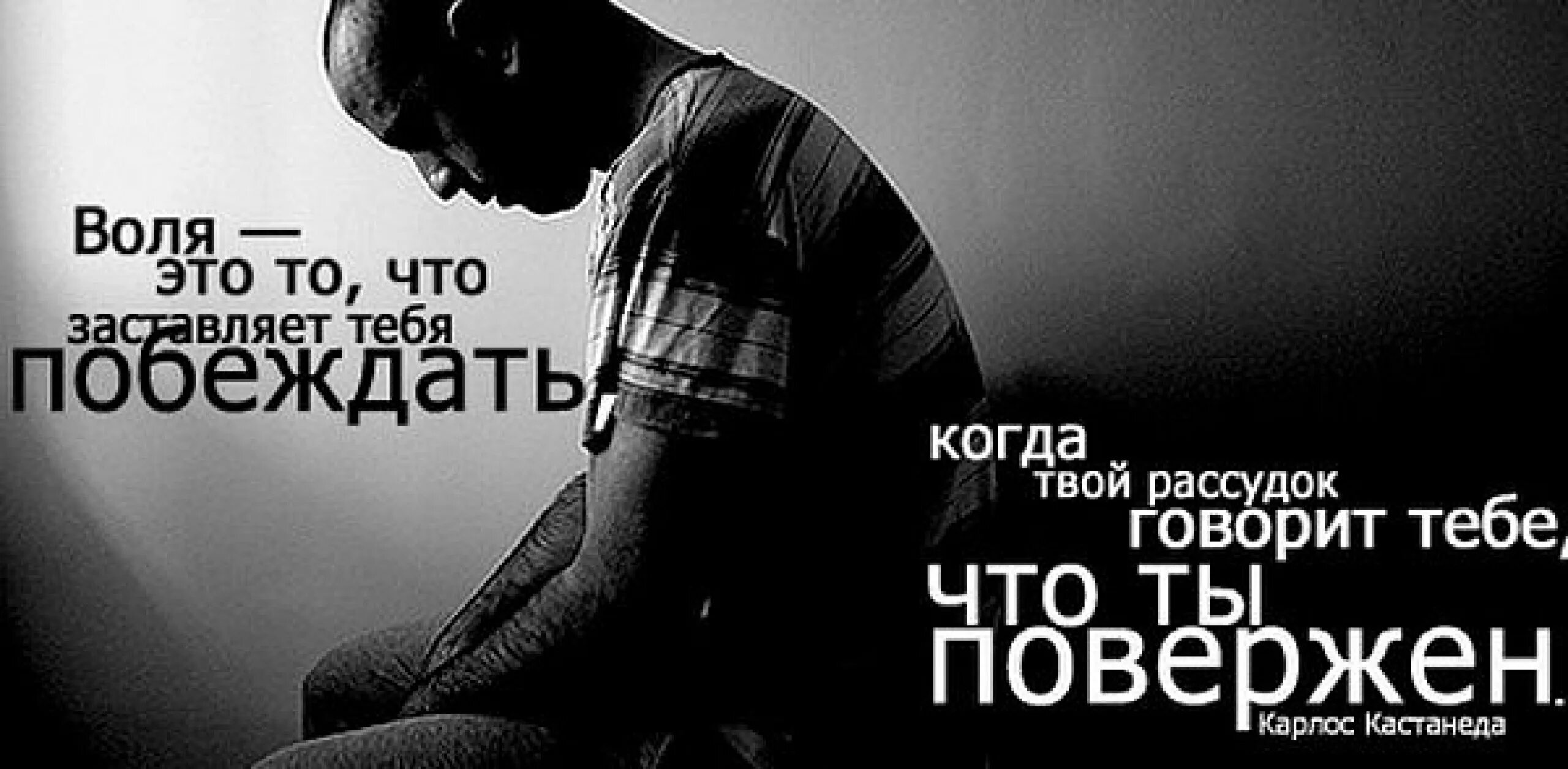 Аватарки со статусом. Фото картинки со смыслом. аватарки со смыслом. фото на аватарку со смыслом. высказывания на аватарку.