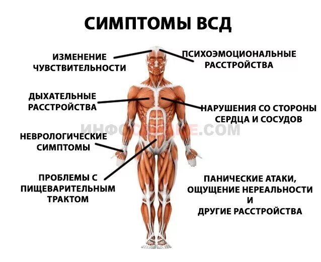 Причины всд. Вегетососудистая дистония симптомы. Вегетативно сосудистая дистония симптомы. Дистония сосудов симптомы. Вегетососудистая дистония клиника симптомы.