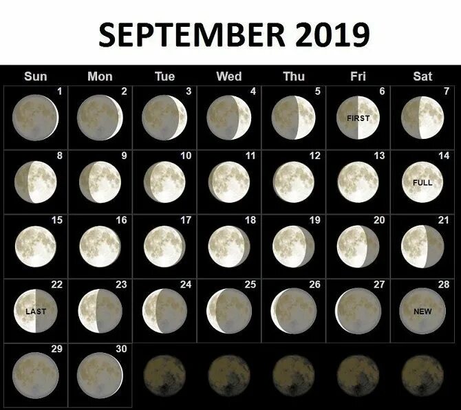 Сентября какая луна. Лунный цикл по дням. Лунный календарь на сентябрь. Лунный календарь 2019 года. Цикл Луны в сентябре.
