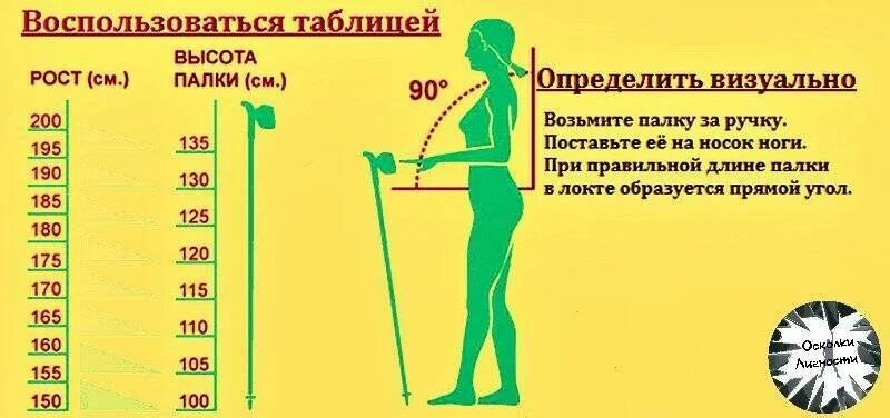 Какой длины палки для скандинавской ходьбы. Палки для скандинавской ходьбы на рост 172. Как выбрать длину палок для скандинавской ходьбы по росту таблица. Таблица подбора палок для скандинавской ходьбы. Как выбрать длину палок для скандинавской ходьбы.