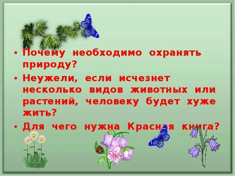 Почему нужно охранять животных. Зачем нужно охранять растения и животных. Почему животных надо охранять. Почему животных и растения надо охранять.