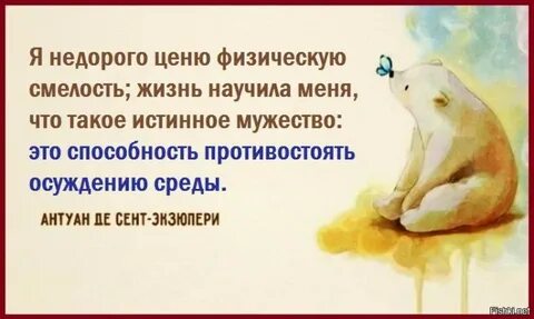 Храбрость жизни